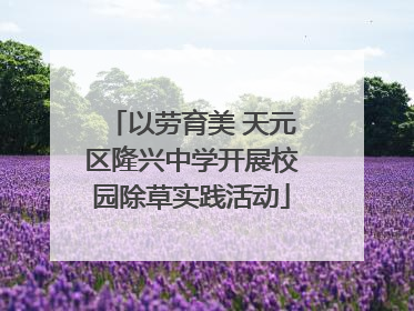 以劳育美 天元区隆兴中学开展校园除草实践活动