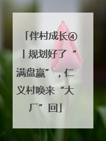 伴村成长④丨规划好了“满盘赢”，仁义村唤来“大厂”回