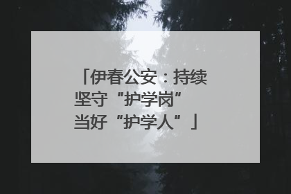 伊春公安：持续坚守“护学岗” 当好“护学人”