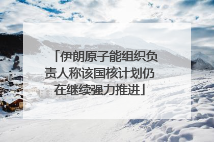 伊朗原子能组织负责人称该国核计划仍在继续强力推进