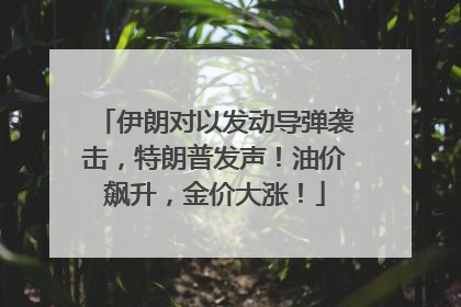 伊朗对以发动导弹袭击，特朗普发声！油价飙升，金价大涨！