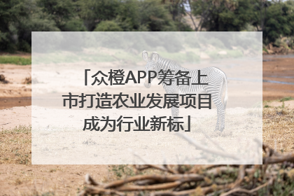 众橙APP筹备上市打造农业发展项目成为行业新标
