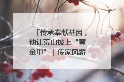 传承奉献基因，他让荒山披上“黄金甲”｜传家风薪火 颂家国情深