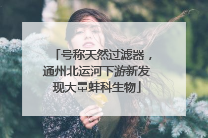 号称天然过滤器，通州北运河下游新发现大量蚌科生物