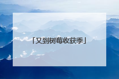 又到树莓收获季
