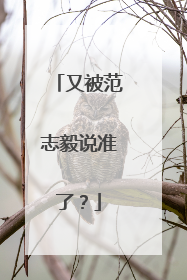 又被范志毅说准了？