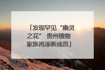 发现罕见“幽灵之花” 贵州植物家族再添新成员