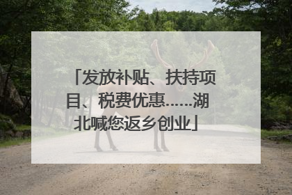 发放补贴、扶持项目、税费优惠……湖北喊您返乡创业