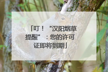 叮！“汉阳烟草提醒”：您的许可证即将到期