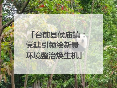 台前县侯庙镇：党建引领绘新景 环境整治焕生机