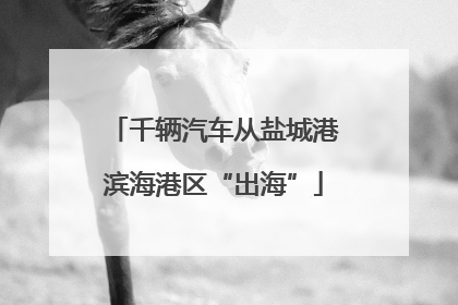 千辆汽车从盐城港滨海港区“出海”