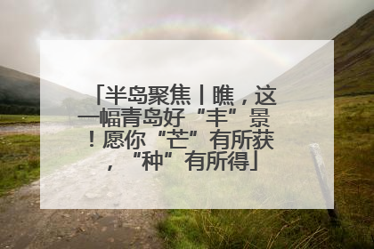 半岛聚焦丨瞧，这一幅青岛好“丰”景！愿你“芒”有所获，“种”有所得