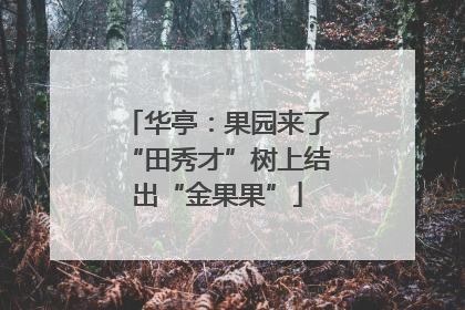 华亭：果园来了“田秀才”树上结出“金果果”