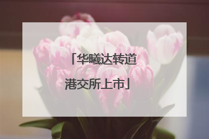 华曦达转道港交所上市
