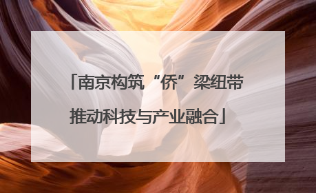 南京构筑“侨”梁纽带推动科技与产业融合