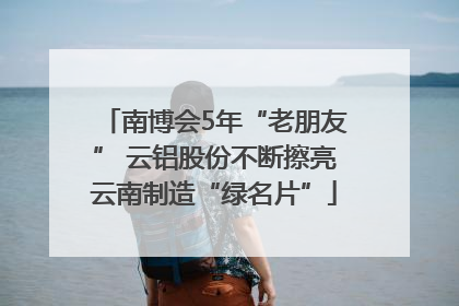 南博会5年“老朋友” 云铝股份不断擦亮云南制造“绿名片”