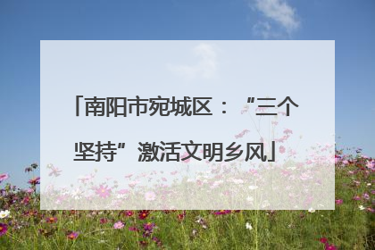 南阳市宛城区：“三个坚持”激活文明乡风