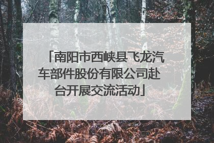 南阳市西峡县飞龙汽车部件股份有限公司赴台开展交流活动