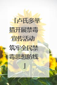 卢氏多举措开展禁毒宣传活动 筑牢全民禁毒思想防线