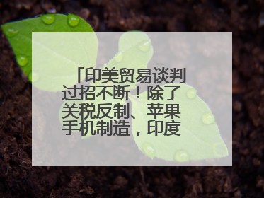 印美贸易谈判过招不断！除了关税反制、苹果手机制造，印度最新要价来了