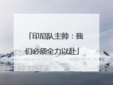 印尼队主帅：我们必须全力以赴