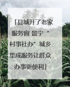 县城开了老家服务窗 景宁“村事社办”城乡集成服务让群众办事更便利