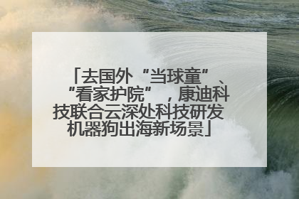 去国外“当球童”、“看家护院”，康迪科技联合云深处科技研发机器狗出海新场景