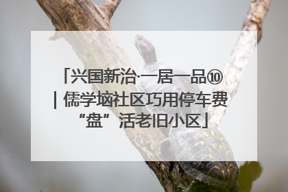 兴国新治·一居一品⑩｜儒学垴社区巧用停车费“盘”活老旧小区
