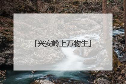 兴安岭上万物生