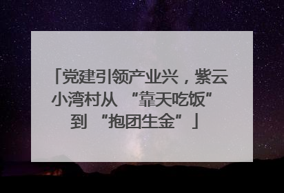 党建引领产业兴，紫云小湾村从 “靠天吃饭” 到 “抱团生金”