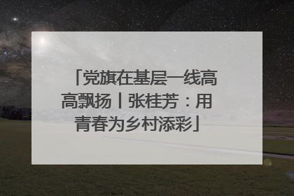 党旗在基层一线高高飘扬丨张桂芳：用青春为乡村添彩