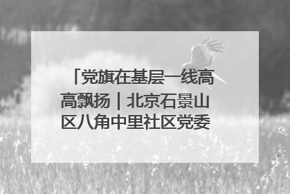 党旗在基层一线高高飘扬｜北京石景山区八角中里社区党委：用脚步丈量民生