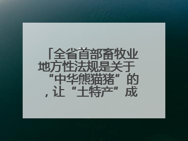 全省首部畜牧业地方性法规是关于“中华熊猫猪”的，让“土特产”成为“新国潮”，让“农产品”升格为“城市IP”
