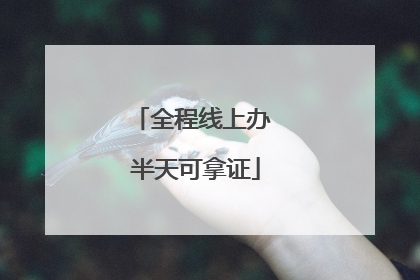 全程线上办 半天可拿证