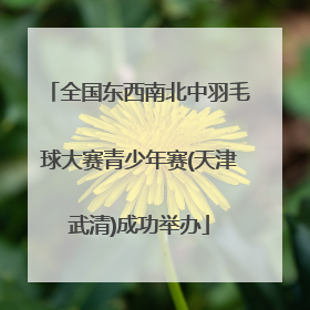 全国东西南北中羽毛球大赛青少年赛(天津武清)成功举办