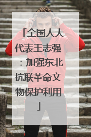 全国人大代表王志强：加强东北抗联革命文物保护利用