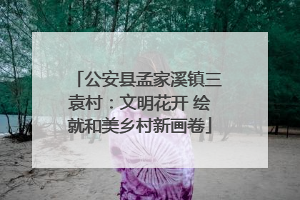 公安县孟家溪镇三袁村：文明花开 绘就和美乡村新画卷