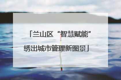 兰山区“智慧赋能”绣出城市管理新图景