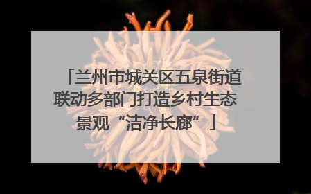兰州市城关区五泉街道联动多部门打造乡村生态景观“洁净长廊”
