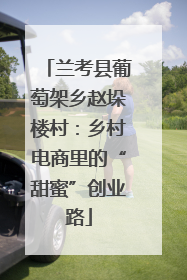 兰考县葡萄架乡赵垛楼村：乡村电商里的“甜蜜”创业路