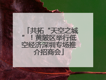 共拓“天空之城”！黄陂区举行低空经济深圳专场推介招商会