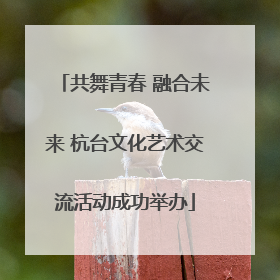 共舞青春 融合未来 杭台文化艺术交流活动成功举办
