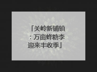 关岭新铺镇：万亩蜂糖李迎来丰收季