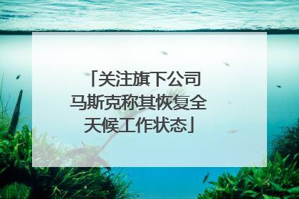 关注旗下公司 马斯克称其恢复全天候工作状态