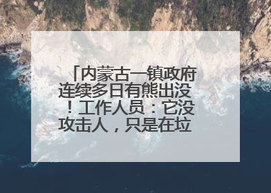 内蒙古一镇政府连续多日有熊出没！工作人员：它没攻击人，只是在垃圾桶翻找食物