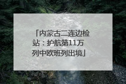 内蒙古二连边检站：护航第11万列中欧班列出境