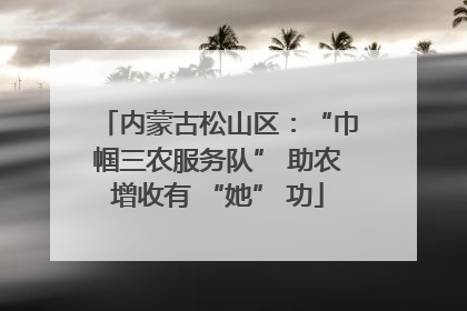 内蒙古松山区：“巾帼三农服务队” 助农增收有 “她” 功