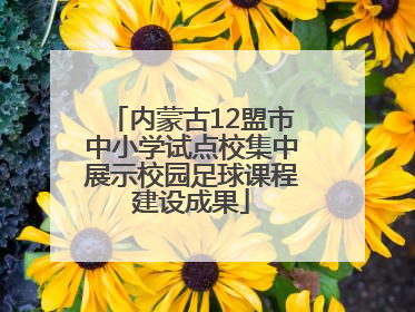 内蒙古12盟市中小学试点校集中展示校园足球课程建设成果
