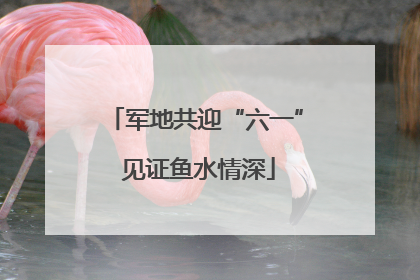 军地共迎“六一” 见证鱼水情深