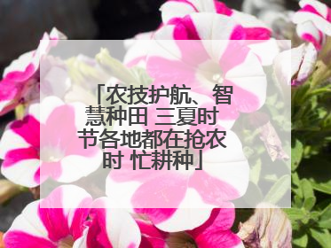 农技护航、智慧种田 三夏时节各地都在抢农时 忙耕种
